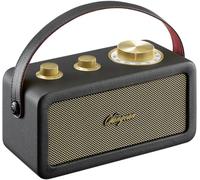 Sangean Radio sans fil RA-101 – FM Bluetooth AUX rechargeable – Noir/Or