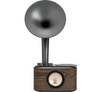 Sangean Radio de table WR-45 (Euphonic 450) FM AUX Bluetooth rechargeable noir