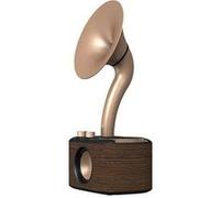 Sangean WR-45X Gold Radio de table FM AUX, Bluetooth rechargeable noir, or Noir G