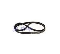 Sangiorgio Ocean Courroie moteur striée pour machine à laver EL1245 J6 36673001300R