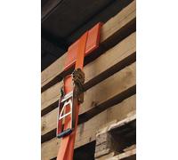 Sangle d'arrimage DIN EN 12195-2 L.8m l.50mm Griffe de traction à engrenage+pic 11-26585034-008000-001