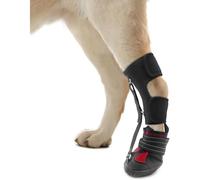 Sangle d'attelle de pied tombant for chien, attelles de jambe de botte for chien for le soutien des jambes, chaussures for chien, orteils de levage for problèmes de pieds, correcteur d'animaux(S)