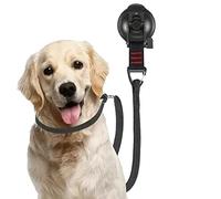 Sangle De Bain pour Chien avec Ventouse - Écharpe Réglable Pourr Chienn, Retenue De De Toilettage pour Chien, Sangle De Toilettage PoursChiens avec Ventouse | Ceintures De Sécurité Pourr Le