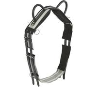 Sangle de longe BUSSE Double noir poney