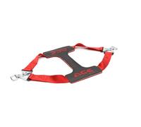 Sangle de roue arrière - ACEBIKES - TyreFix Essential - rouge/noir - toutes tailles de pneus - arrimage jusqu'à 500 kg