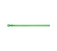 Sangle de ski Black Diamond 25 Vert TU