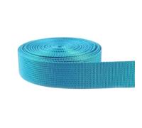 Sangle décorative en nylon jacquard de 5 m de long (20 à 50 mm) pour couture, sacs à bandoulière, ceintures, biais, accessoires d'artisanat(Sky Blue,38mm)