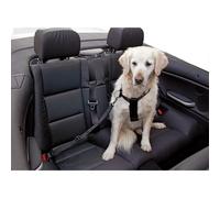 Sangle et harnais de transport Kerbl Noir 30/60 cm