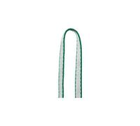 Petzl - St Anneau 12 mm Dyneema - Anneau de sangle - 24 cm - green