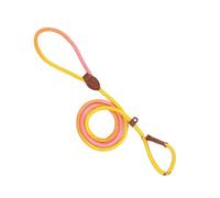 Sangle Pour Chien Corde d'Éducation en Nylon Renforcée pour Chiot