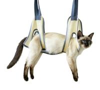 Sangle pour chien coupe des griffes Support De Retenue Pliable Bain Avec