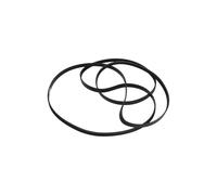 Sangle Sèche-Linge Pour Bauknecht Whirlpool 481235818164 1936H6 1936H