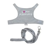 Sangles respirantes lumineuses pour petits animaux de compagnie, tenues de dragon barbu, pour la marche, le camping, les voyages, la nuit, les courses, les taxis publics