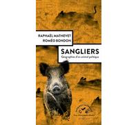 Sangliers, géographies d'un animal politique