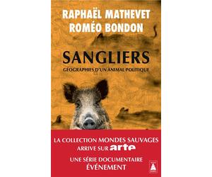 Sangliers, géographies d'un animal politique - Raphaël Mathevet - Actes sud - Poche - Essai