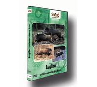 Sangliers, Meilleures Scènes De Chasse