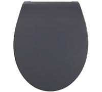 Sanilo Abattant WC avec frein de chute de résine thermodurcissable Plat Gris, design fascinant, détachable, fixation facile par en haut