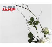 Sanju CD