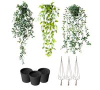 SanKristo 3 Pièces Plantes Artificielles Suspendues, Feuille de Datura, Feuille de Pois, Eucalyptus Plante en Pot Suspendue avec Panier en Corde de Jute pour Intérieur Extérieur, Hauteur 55cm-87cm