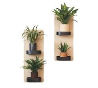 SanKristo Plante Pot 3D Fausse Suspension Stickers Muraux 2PCS, Autocollants D'art Mural Décoration Chambre Décalque Mural Vase, Salon Chambre à Coucher Cuisine Salle Bain Décoration Murale 60 X 30CM