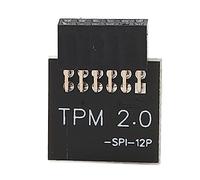 Sanpyl Module TPM 2.0, module de sécurité SPI 12 broches pour carte mère GIGABYTE, module de sécurité TPM2.0 pour mise à niveau du système PC vers Win 11, compatible avec système WIN11 2.0
