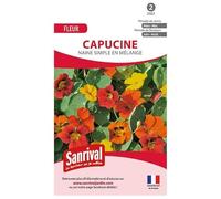 Sanrival - Mélange de graines de Capucine naine