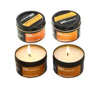Sans - Fournitures essentielles pour coupures de courant, 4 pièces coupe-vent à combustion longue durée pour l'extérieur dans une boîte en étain | pour voyage aventure tempête