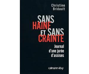 Sans haine et sans crainte: Journal d'une jurée d'assises