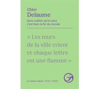 Sans oublier qu'en plus c'est bien la fin du monde Chloé Delaume (Auteur), Lydie Salvayre (Préface)