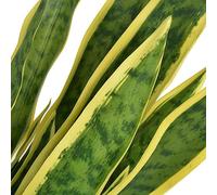 Sansevieria Chanvre d'arc artificiel avec pot de 65 cm, vert, plastique et bois véritable, 21 feuilles, plante d'intérieur facile d'entretien pour salon, bureau, balcon, décoration intérieure et