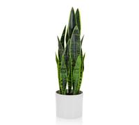 hjh OFFICE 871016 Plante Artificielle SANSEVIERIA avec Cache-Pot Hauteur 65 cm Plante d'intérieur Chanvre arqué Artificielle