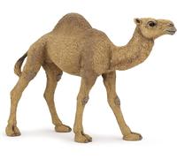 Sansh-- 50151 - Figurine - Animaux - Dromadaire