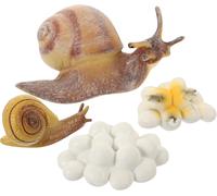SANSH-Cycle De Vie Escargot,Figurine Cycle De Vie Coccinelle Modèle De Insecte Croissance Cycle pour Enfants Cognition Apprentissage Jouets éducatifs¿Styles Aléatoires¿