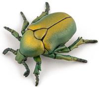 SANSH-- Figurines à Collectionner - Cétoine dorée - 50290 - Insecte - Animaux des Jardins - pour Enfants - Filles Et Garçons - A Partir de 3 Ans