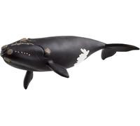 Sansh-Schleich 14878 Baleine De L'atlantique, Dès 3 Ans, Wild Life - Figurine, 10 X 19 X 5 Cm