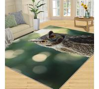 SANSJI Tapis de décoration d'intérieur hibou, tapis lavable pour chambre à coucher, tapis antidérapant, à poils courts et facile d'entretien, motif portrait d'animaux, cadeaux d'animaux sauvages, 308