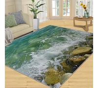 SANSJI Tapis de lac pour chambre à coucher, salon, tapis naturel, antidérapant, lavable, à poils courts Bleu sarcelle