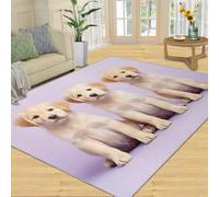 SANSJI Tapis décoratif à motif chien - Tapis décoratif d'intérieur antidérapant et à poils bas - Joli tapis Golden Retrievers pour salon - Tapis d'intérieur lavable pour chambre à coucher - 152,4 x