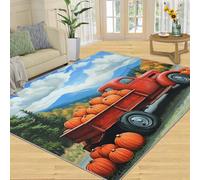 SANSJI Tapis rustique pour décoration d'intérieur, tapis d'intérieur antidérapant et à poils ras - Motif citrouille moisson - Tapis lavable pour chambre à coucher - Tapis d'intérieur antidérapant et à