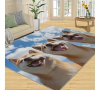 SANSJI Tapis Shiba Inu à motif chien pour décoration d'intérieur, tapis lavable pour chambre à coucher, tapis antidérapant à poils courts et facile d'entretien, cadeau pour amoureux des chiots - 160 x