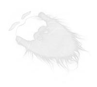 Santa Beard et SEEBROW SETT, BLANC Long Fake Beard avec élastique réglable pour le costume de fête de Noël 10.2x8.7x0.4 pouce