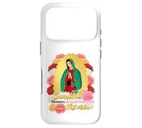 Santa María de Guadalupe, La Morenita Del Tepeyac Coque pour iPhone 17 Pro