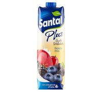SANTAL Succhi fruits de bois, 1 l