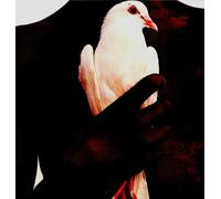 Santana - Greatest Hits [Import]