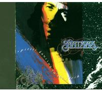 Spirits Dancing In The Flesh - Dutch Import