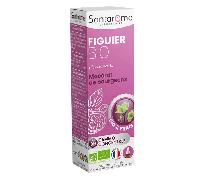 Santarome Bio - Figuier Bio - Macérat de bourgeons - Bourgeon de Figuier Bio - Bourgeon Frais - Gémmothérapie - Complément alimentaire anti stress - Flacon de 30 ml - France