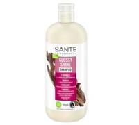 SANTE Naturkosmetik Glossy Shine Shampooing à l'extrait de feuille de bouleau bio + complexe de protéines triple épaisseur, soin végétalien et hydratant pour plus de brillance et de douceur, avec