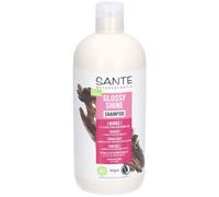 SANTE Naturkosmetik Glossy Shine Shampooing à l'extrait de feuille de bouleau bio + complexe de protéines triple épaisseur, soin végétalien et hydratant pour plus de brillance et de douceur, avec
