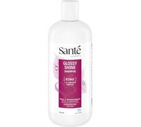 SANTE Naturkosmetik Glossy Shine Shampooing à l'extrait de feuille de bouleau bio + complexe de protéines triple épaisseur, soin végétalien et hydratant pour plus de brillance et de douceur, avec