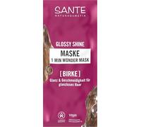 SANTE Naturkosmetik Glossy Shine Wonder Masque, soin en profondeur pour cheveux ternes avec extrait de feuille de bouleau bio et complexe protéiné triple pour 3 fois plus de brillance et de douceur
